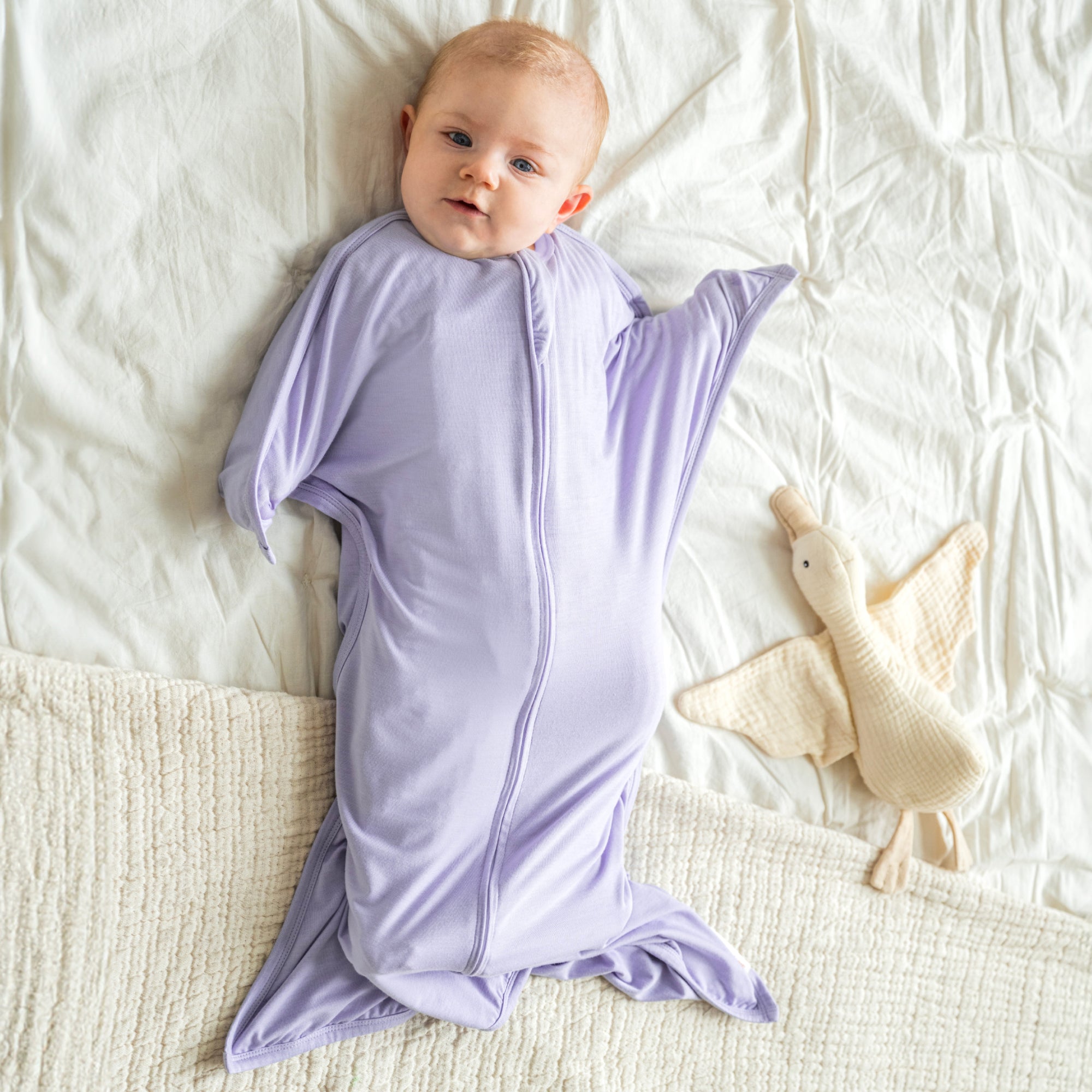 Baby wearing Lilac bamboo Zipadee-Zip swaddle