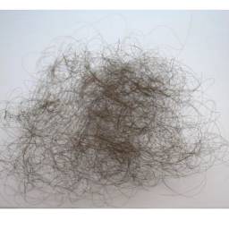  500 strands of hair look like