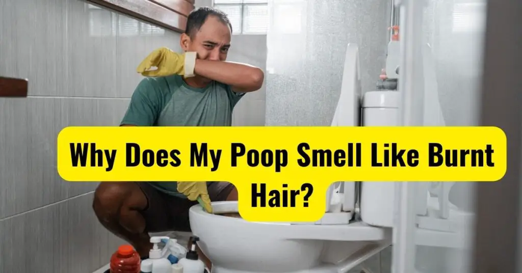 Why Does My Poop Smell Like Burnt Hair? (Real Reason) Hair Care Addiction