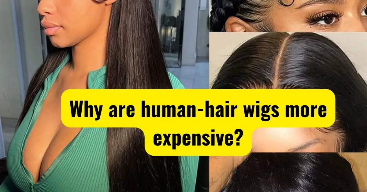 Why are human-hair wigs more expensive