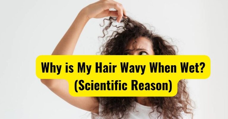 Why is My Hair Wavy When Wet? (Scientific Reason)