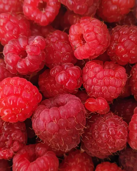 Why Do Raspberries Have Hair